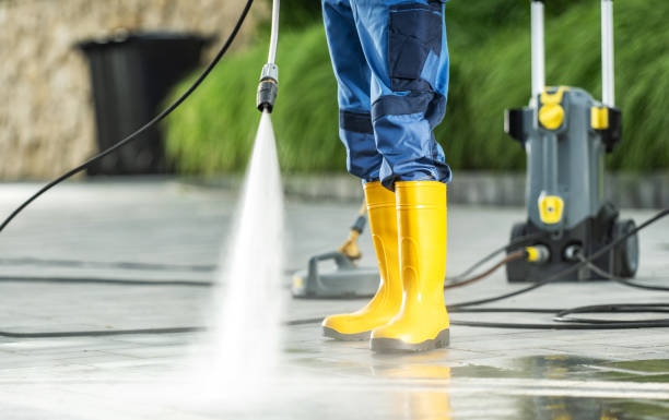 Best Best Pressure Washing Companies  in Elkins, WV